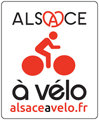 Plaque d'immatriculation de course en aluminium pour vélo de route  Triathlon bricolage support de plaque personnalisé support de carte pour  tige de selle aéro Plate autocollants Vittel - Historique des prix et